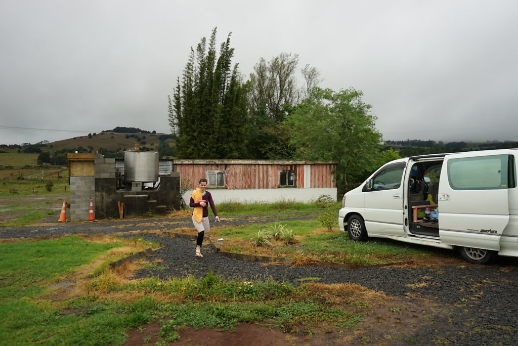 The Cow Shed