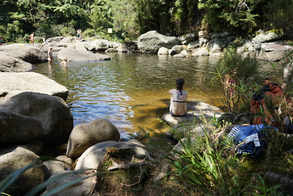McLaren Falls 