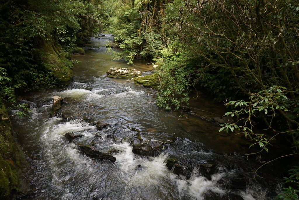 Wasser sucht sich seinen Weg durch die Höhle.