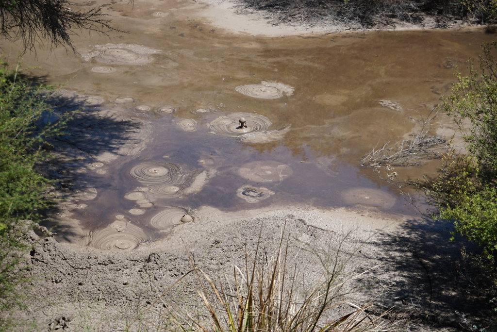 Rotorua 