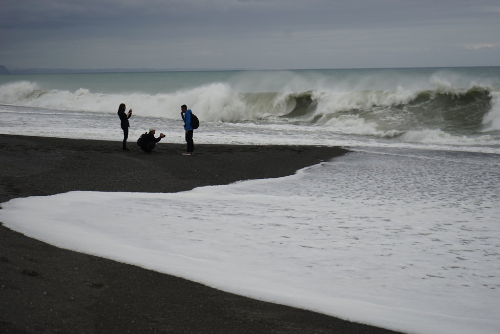 Bay watch in Napier 