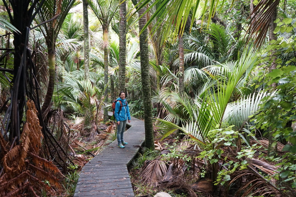 Kleiner Bushwalk zu heißen Quellen 