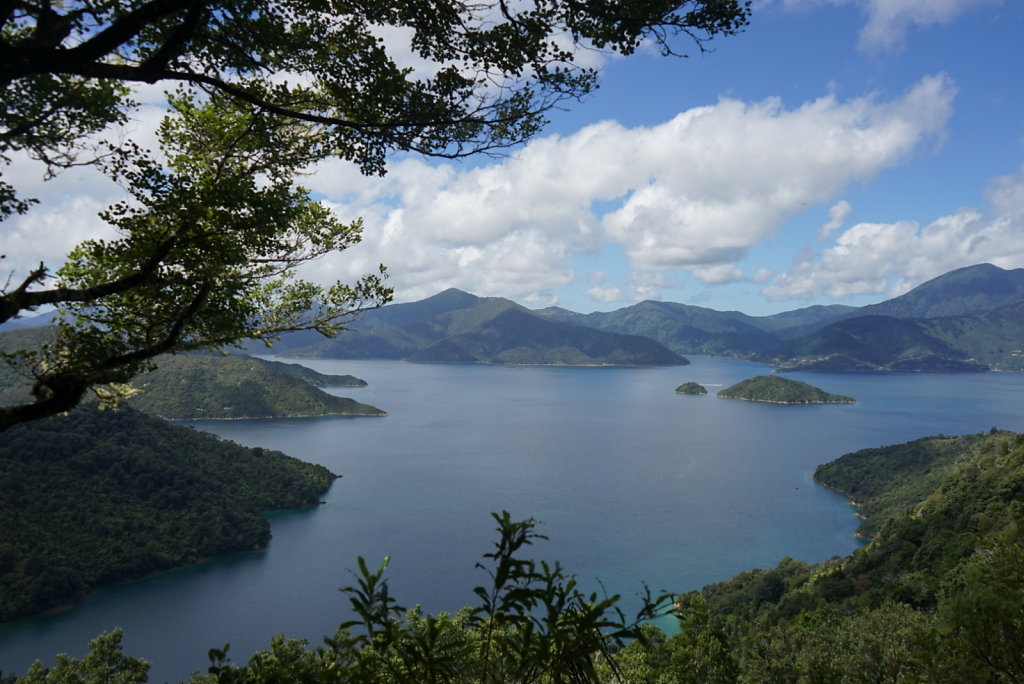 Charlotte Sound