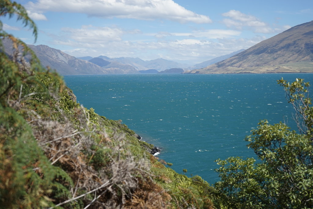 Lake Wanaka