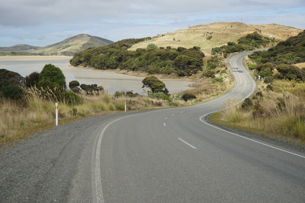 In den Catlins